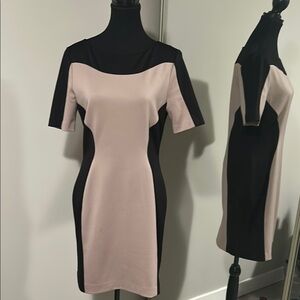Black and Cream Colorblock Dress